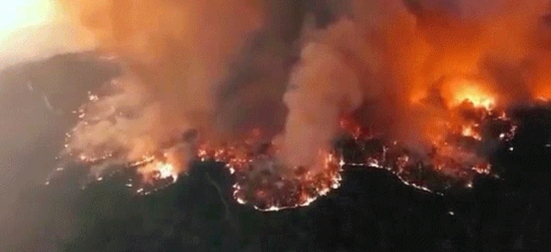 MAUI WILDFIRES - cover