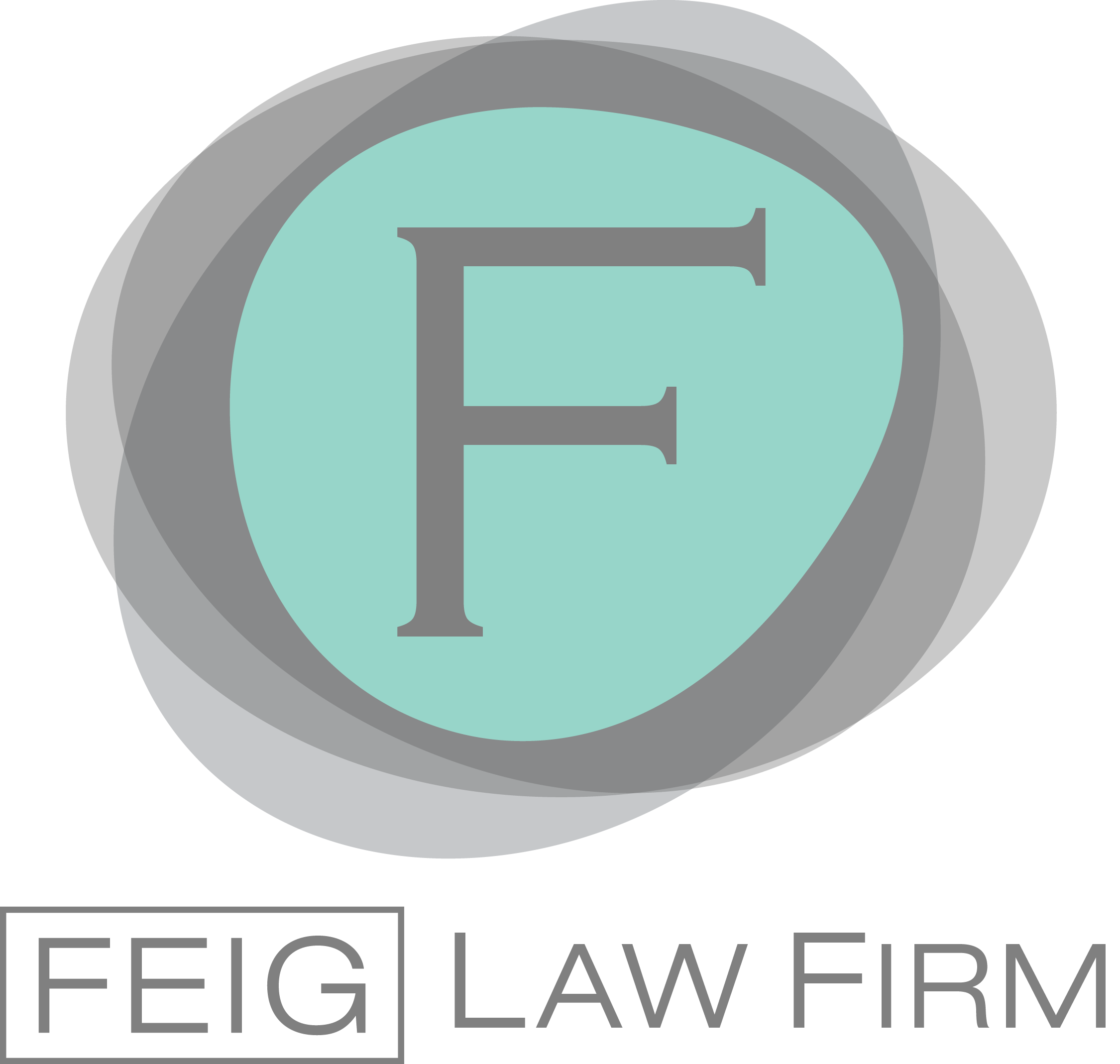 Avatar - FEIG Law Firm