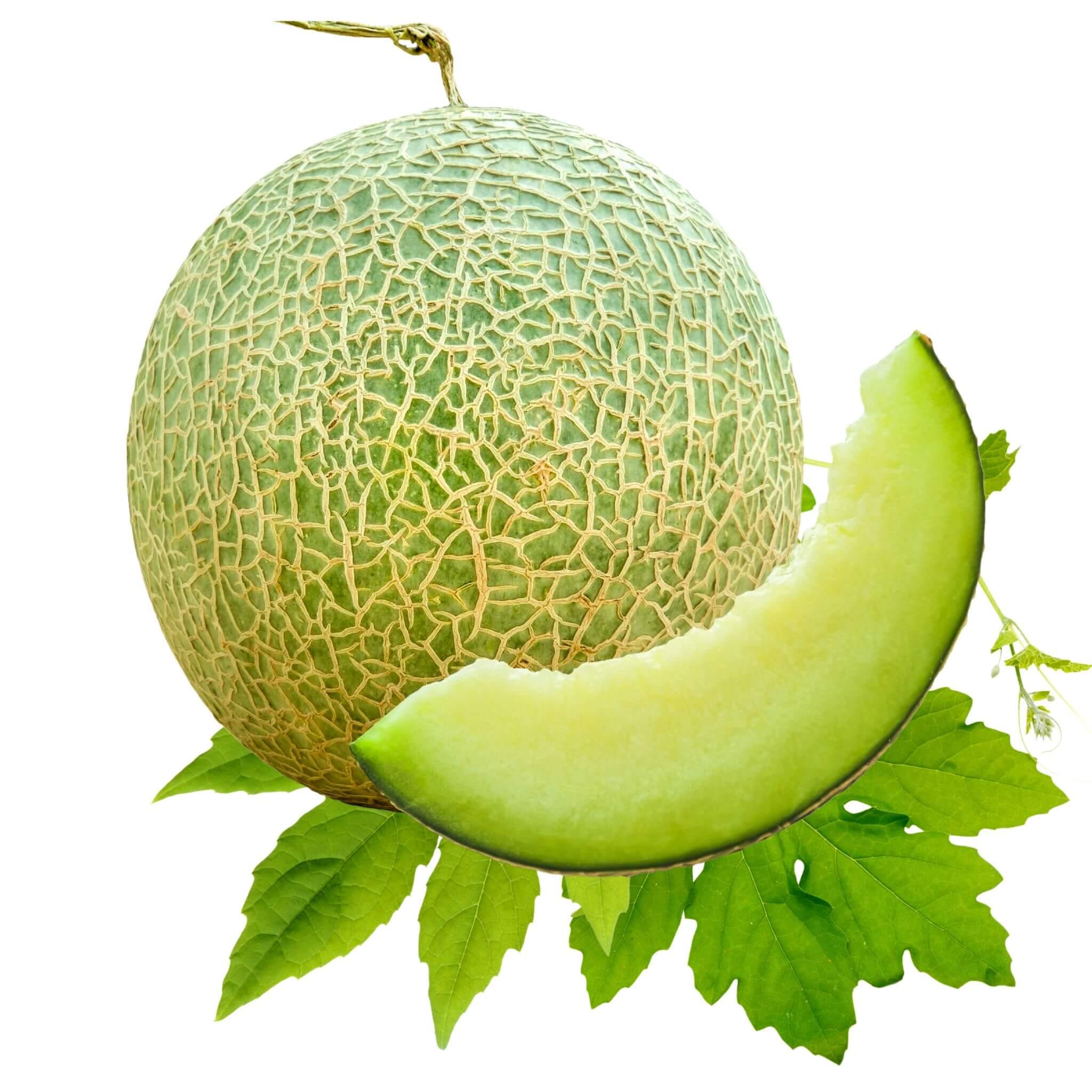 Avatar - Dưa lưới Ichiba