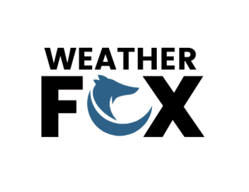 Avatar - Weather Fox