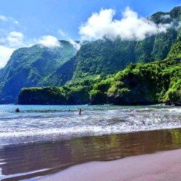 Avatar - Madeira Islands