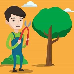 Avatar - Norwalk Tree Service