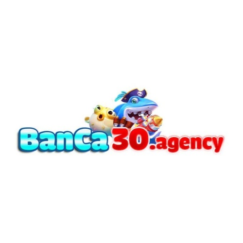 Avatar - Banca30 Agency