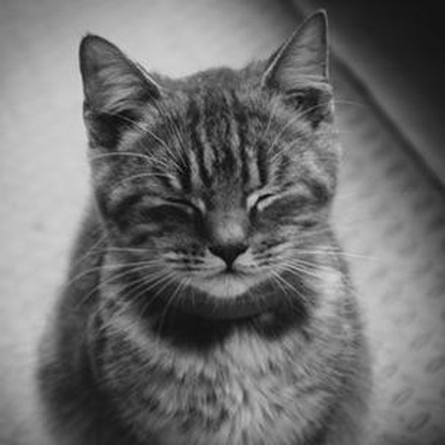 Flipboard profile picture for @Cranky
