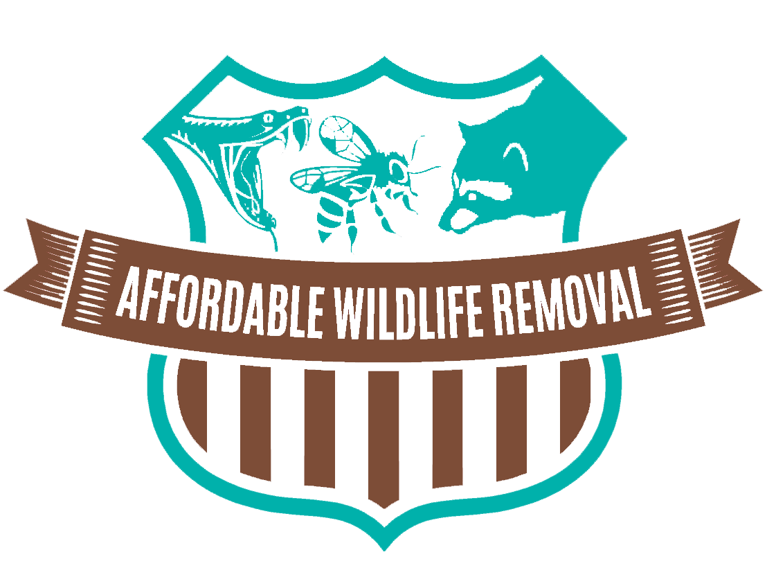 Avatar - Affordable Wildlife Removal Orlando