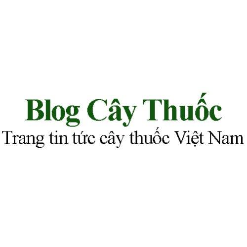 Avatar - Blog Cây Thuốc - Trang tin tức cây thuốc Việt Nam