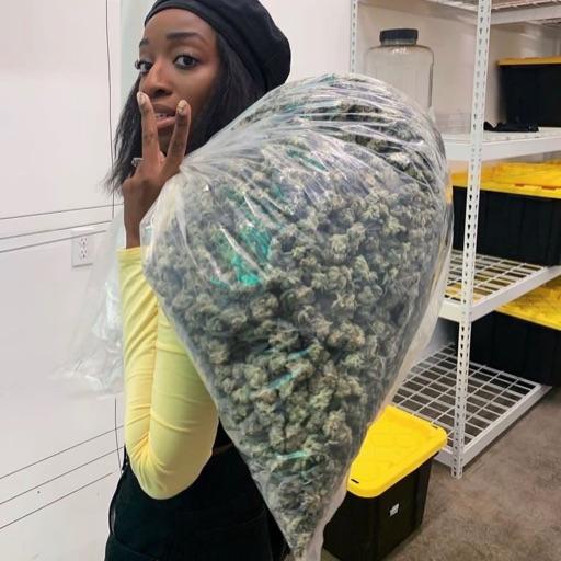 Flipboard profile picture for @dispensary