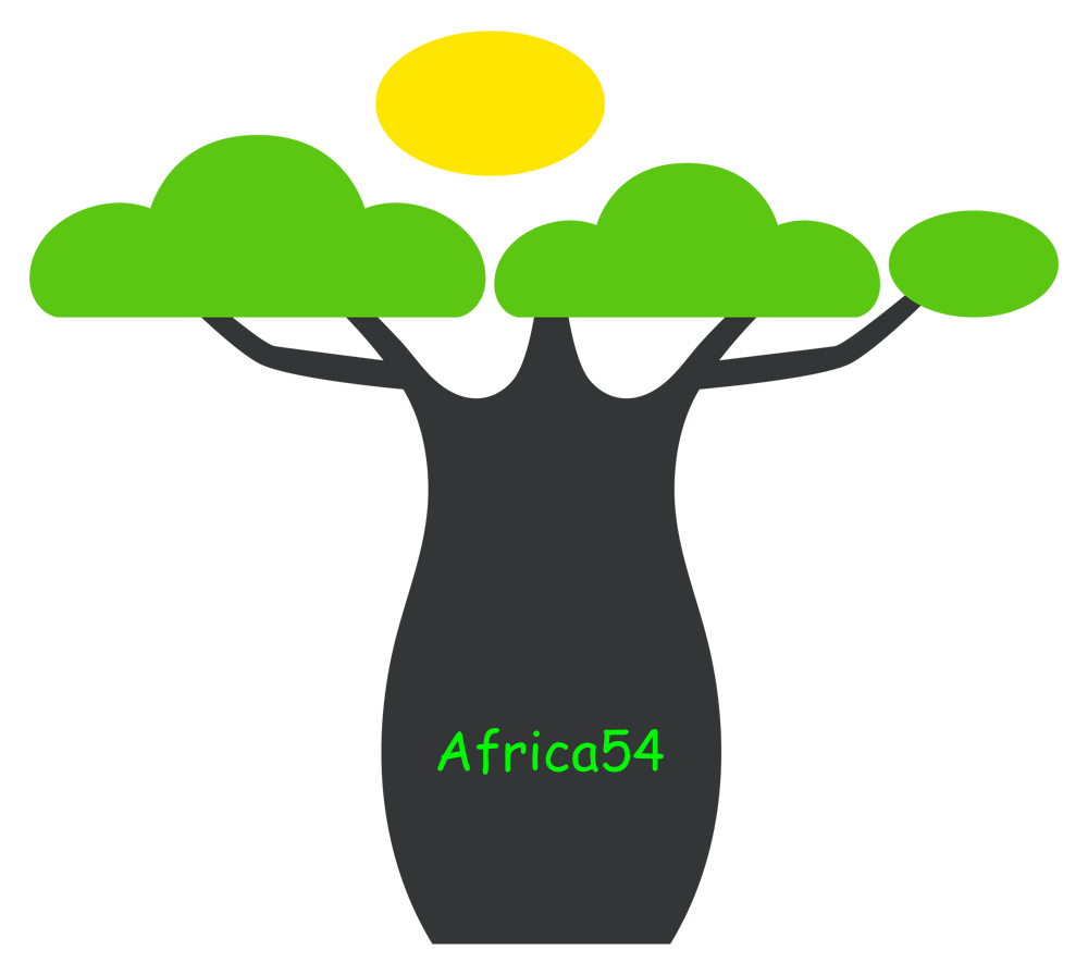 Avatar - Africa54 Skills