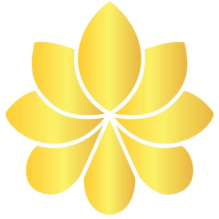 Avatar - Công Ty TNHH Quốc Tế Synex